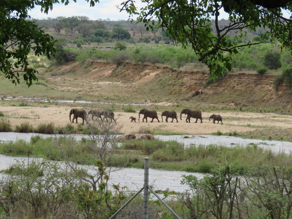 Kruger View Tree House Villa Marloth Park Exterior photo