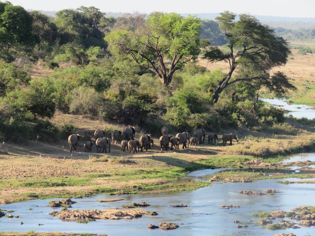 Kruger View Tree House Villa Marloth Park Exterior photo