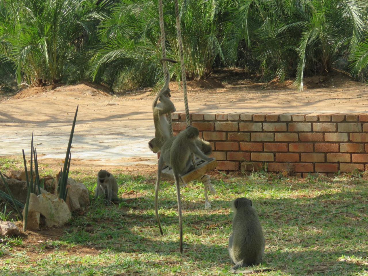 Kruger View Tree House Villa Marloth Park Exterior photo